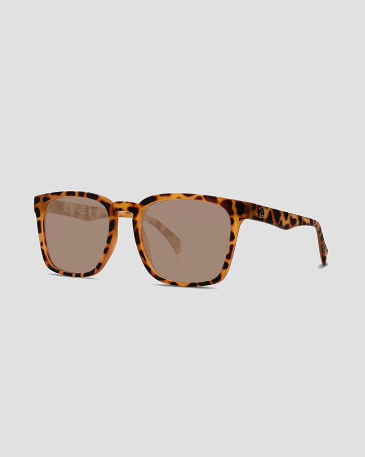 AHOY | SUNGLASSES - TORTOISE POLAR